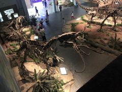 -自贡恐龙博物馆