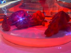 -侏罗纪世界电影特展(广州站)
