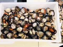 -宾朋海鲜饭庄(兴海路店)