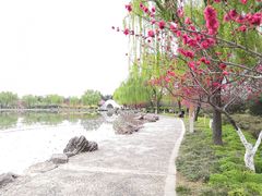 -洛阳市隋唐城遗址植物园