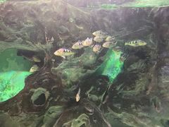 -常州海昌海洋探索馆