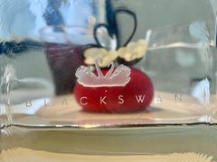 -BLACKSWAN黑天鹅(环球店)