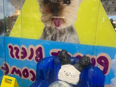 -萌物合辑(新中关购物中心店)