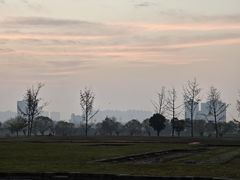 -汉长安城未央宫国家考古遗址公园