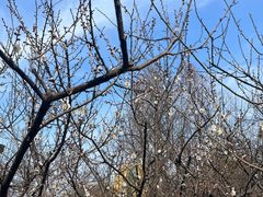 -狼山风景名胜区