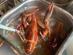 -曼格活海鲜·牛排自助(光明蓝鲸店)