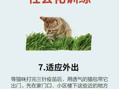 -lincat·猫舍(广州店)