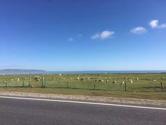 -青海湖国家重点风景名胜区