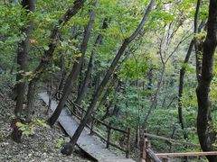-北京上方山国家森林公园