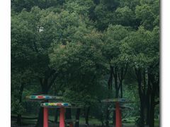 -上海共青森林公园