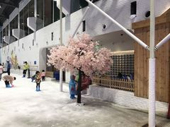 -Mr·Kuma酷么先生雪之乐园