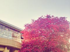 -维也纳酒店(桂林万福广场店)