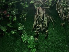 -醉美东江·三文鱼·烧鸡公