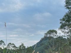 -黄埔油麻山森林公园