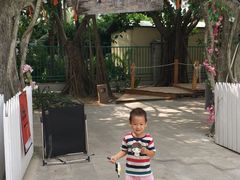 -亚龙湾中心广场