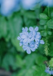 -尊尚柏丽美容SPA