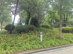 -廊坊文化艺术中心