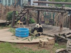 -大连森林动物园