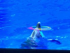 -波塞冬旅游度假区