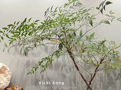 餐具摆设-胡麻(静安嘉里店)