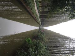 怡沁园度假村-上海怡沁园度假酒店