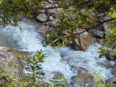 -广州白江湖森林公园