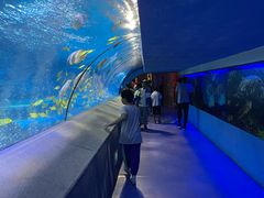 -太平洋海底世界