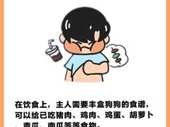 -翊宠yipet猫狗购宠庄园犬舍•猫舍