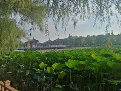 -长春市南湖公园