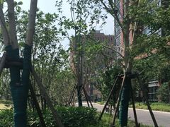 -复星星堡社区(中环二期店)