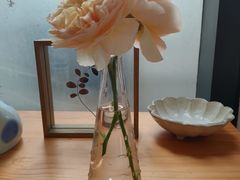 -猫里有甜
