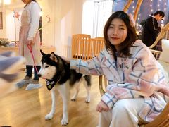 -Husky Go! 哈士奇体验馆·宠物咖啡厅狗咖