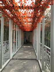 点击看大图 -爱帝宫月子中心(罗湖别墅院)