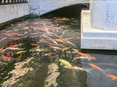 -龙悦湾酒家·八阵鱼生·渔人码头店