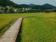 -红山村