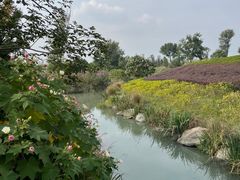 -天府芙蓉园