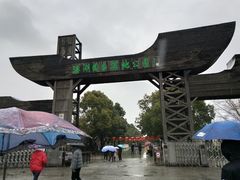 -溱湖国家湿地公园