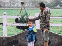 -瑞穗牧场