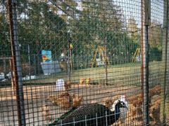 -前小桔亲子创意农场·草莓采摘·露营烧烤