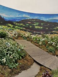 -上海玫瑰医疗美容医院