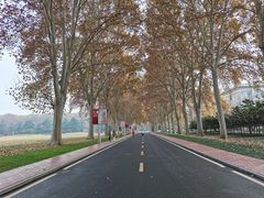 -河南省黄河迎宾馆