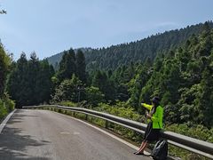 -武陵山森林公园