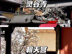 -灵谷景区