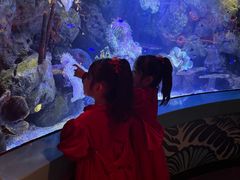 -沈阳海洋探索中心