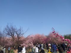 -蜀冈西峰生态公园