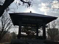 -万泉公园