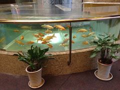 -中影国际影城(兰生大厦CINITY LED店)