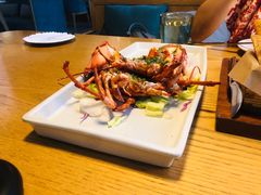 波士顿龙虾-EN SPACE恩空间