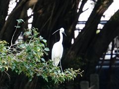-晓港公园