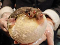 -永安鱼庄·镇江菜(东吴路店)